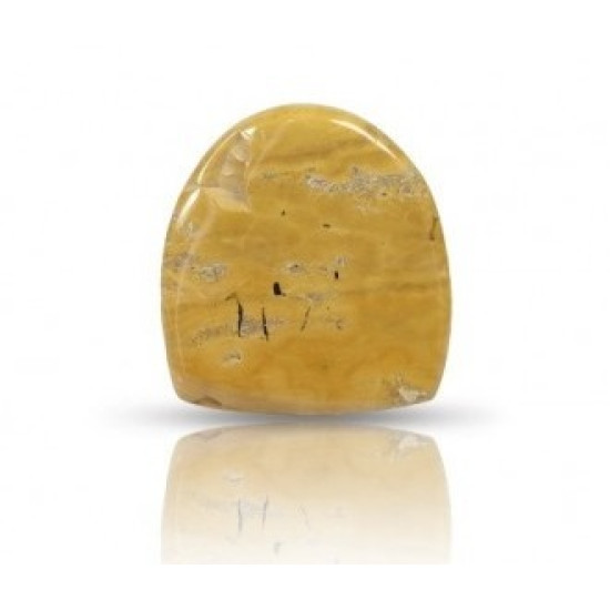 Ocean Jasper Stone 31.45 Carat