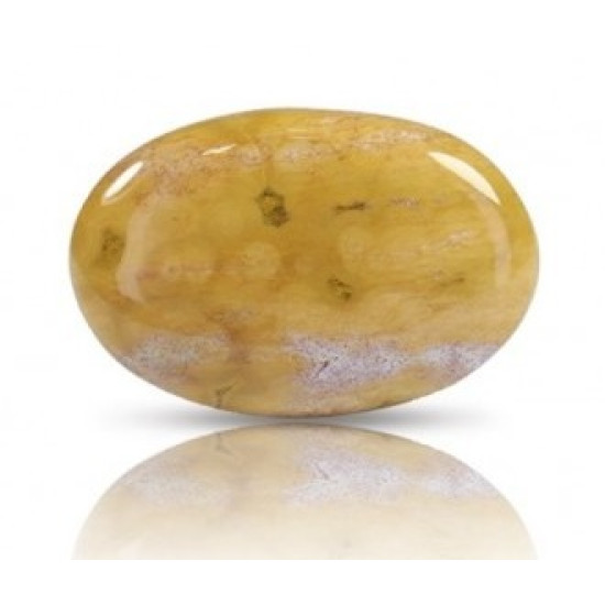 Ocean Jasper Stone 35.12 Carat