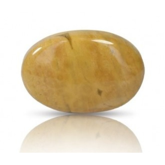 Ocean Jasper Stone 45.28 Carat