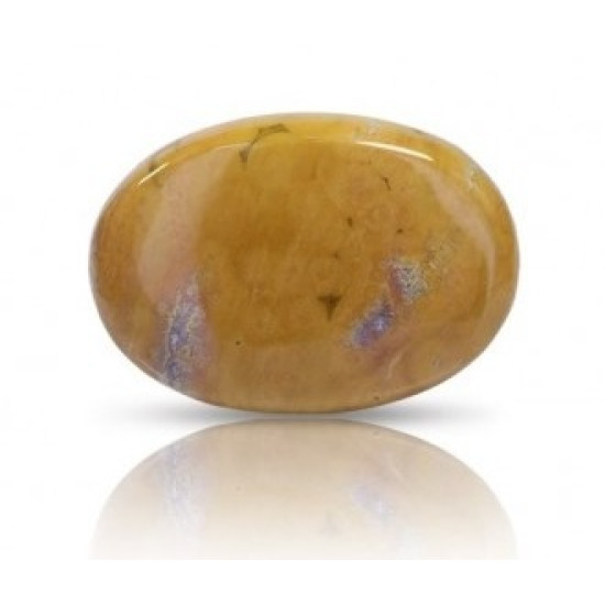 Ocean Jasper Stone 48.30 Carat