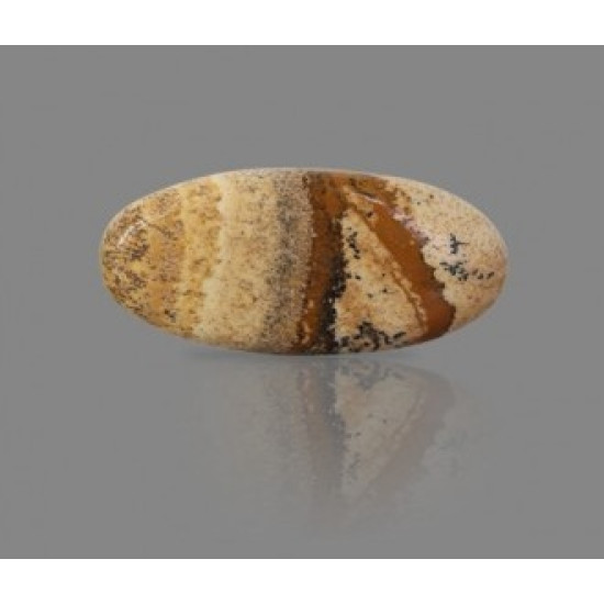 Picture Jasper 21.57 Carat