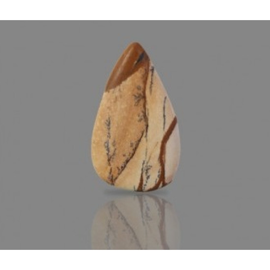 Picture Jasper 15.46 Carat