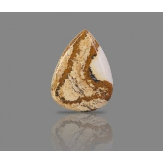 Picture Jasper 23.84 Carat