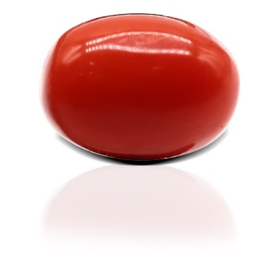 Italian Red Coral