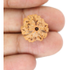 Natural Nepali 3 Mukhi Rudraksha