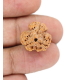 Natural Nepali 3 Mukhi Rudraksha