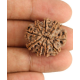 Natural Nepali 9 Mukhi Rudraksha