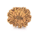 Natural Nepali 10 Mukhi Rudraksha