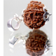 Natural Nepali 11 Mukhi Rudraksha