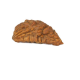 Natural 1 Mukhi Rudraksha