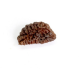 Natural 1 Mukhi Rudraksha