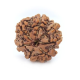 Seven Mukhi Rudraksha 15.64 carat