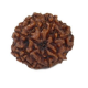 Natural 8 Mukhi Rudraksha