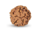 1 Mukhi Under Developed Rudraksha 18 MM